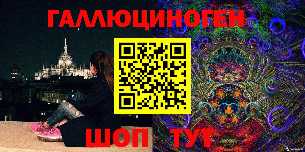 Галлюциногенные грибы Psilocybine cubensis Кольчугино