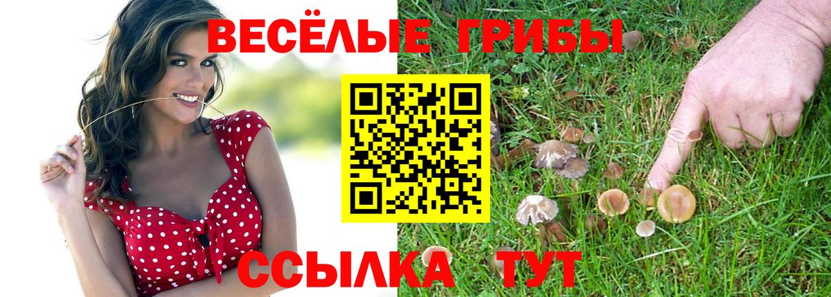 Галлюциногенные грибы Magic Shrooms  Вход с VPN  Кольчугино 